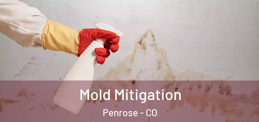Mold Mitigation Penrose - CO