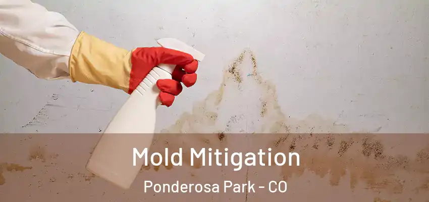 Mold Mitigation Ponderosa Park - CO