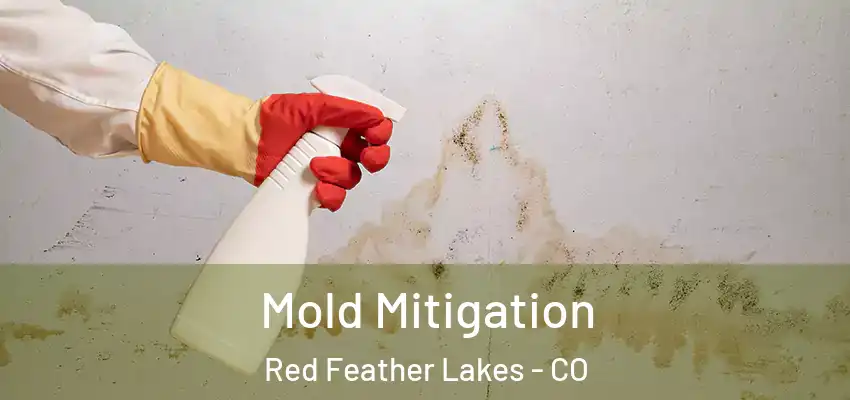 Mold Mitigation Red Feather Lakes - CO