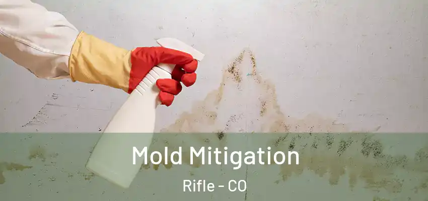 Mold Mitigation Rifle - CO