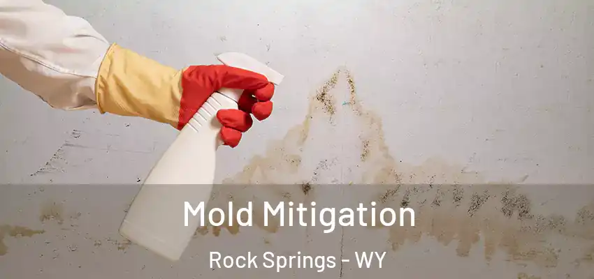 Mold Mitigation Rock Springs - WY