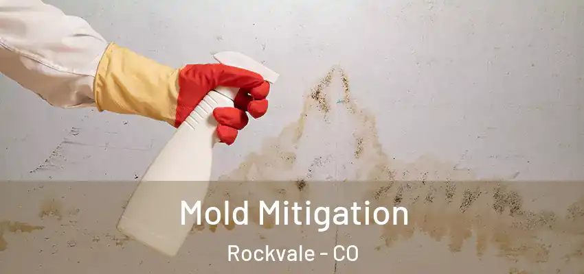 Mold Mitigation Rockvale - CO