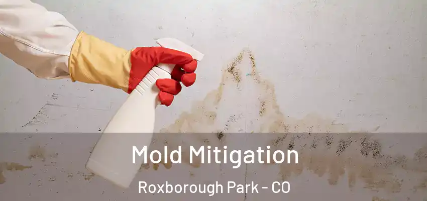Mold Mitigation Roxborough Park - CO