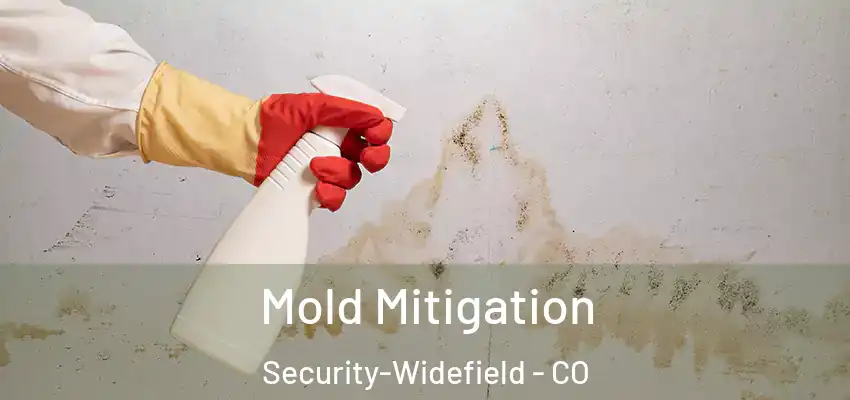 Mold Mitigation Security-Widefield - CO
