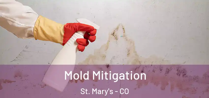 Mold Mitigation St. Mary's - CO