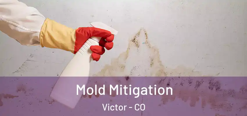Mold Mitigation Victor - CO