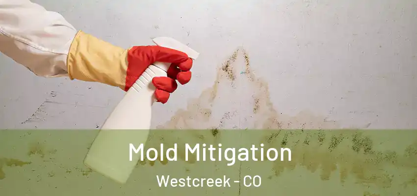 Mold Mitigation Westcreek - CO