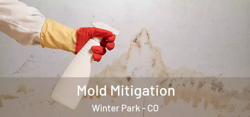 Mold Mitigation Winter Park - CO