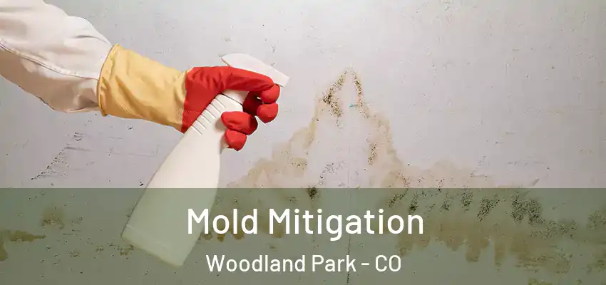  Mold Mitigation Woodland Park - CO