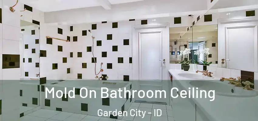  Mold On Bathroom Ceiling Garden City - ID