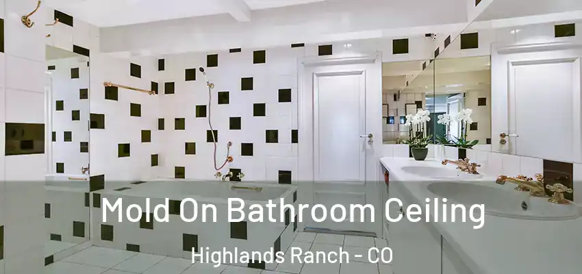 Mold On Bathroom Ceiling Highlands Ranch - CO