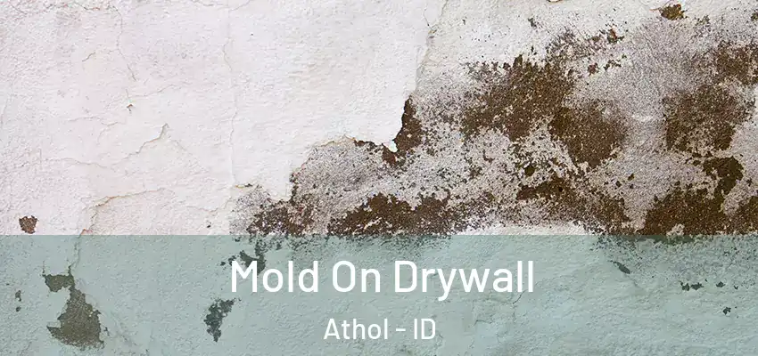  Mold On Drywall Athol - ID