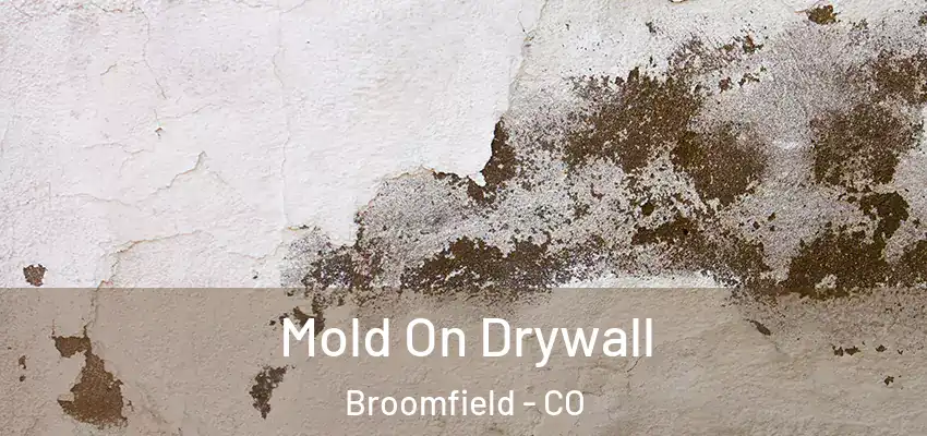  Mold On Drywall Broomfield - CO