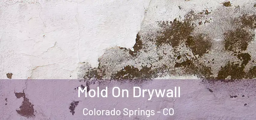  Mold On Drywall Colorado Springs - CO