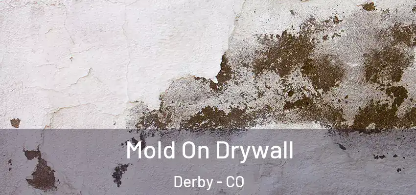  Mold On Drywall Derby - CO