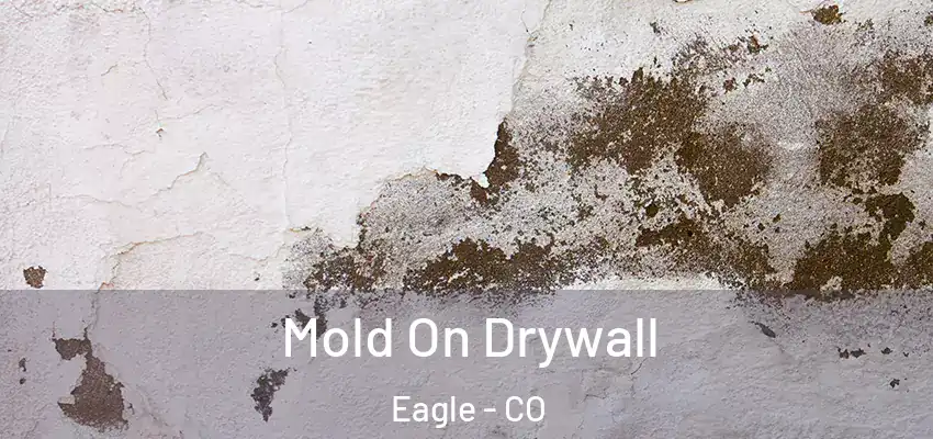 Mold On Drywall Eagle - CO