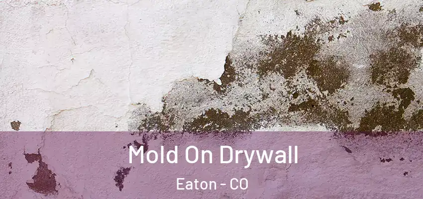 Mold On Drywall Eaton - CO