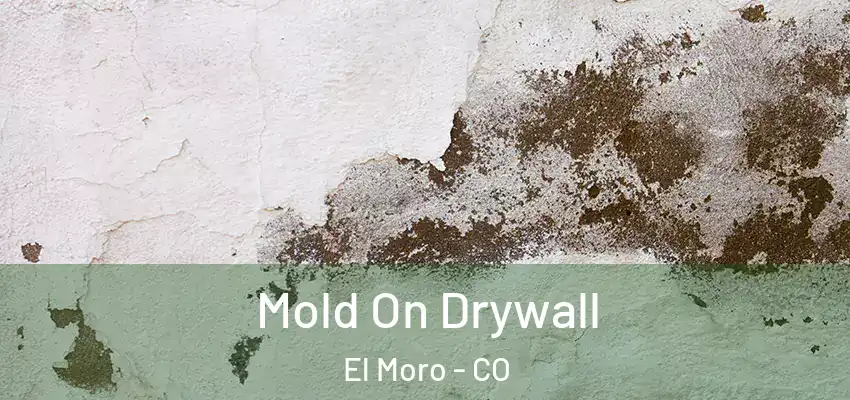 Mold On Drywall El Moro - CO