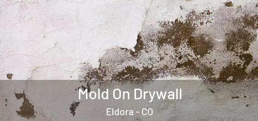 Mold On Drywall Eldora - CO