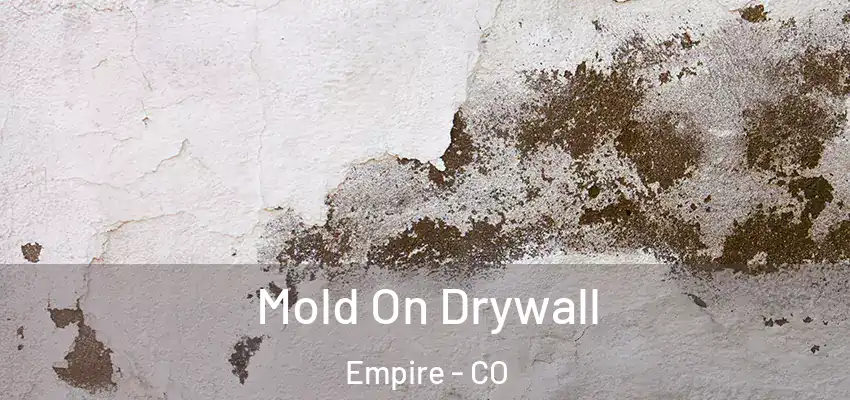  Mold On Drywall Empire - CO