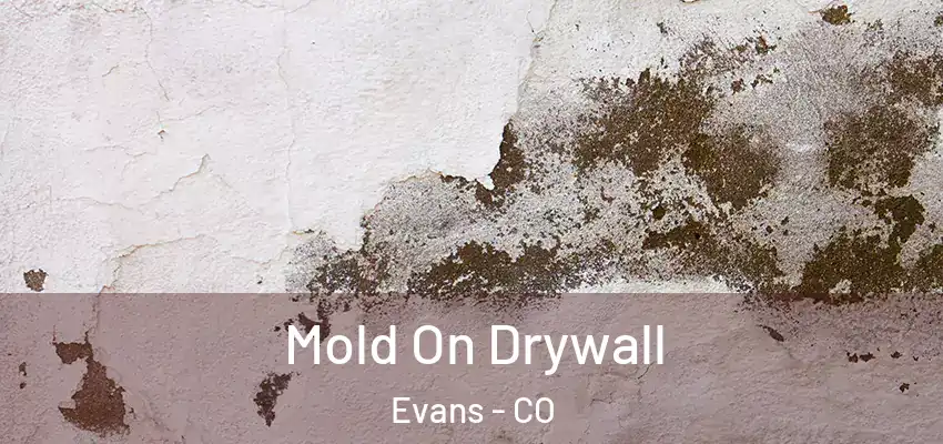 Mold On Drywall Evans - CO