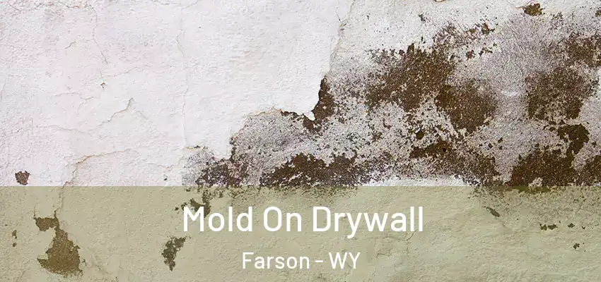  Mold On Drywall Farson - WY