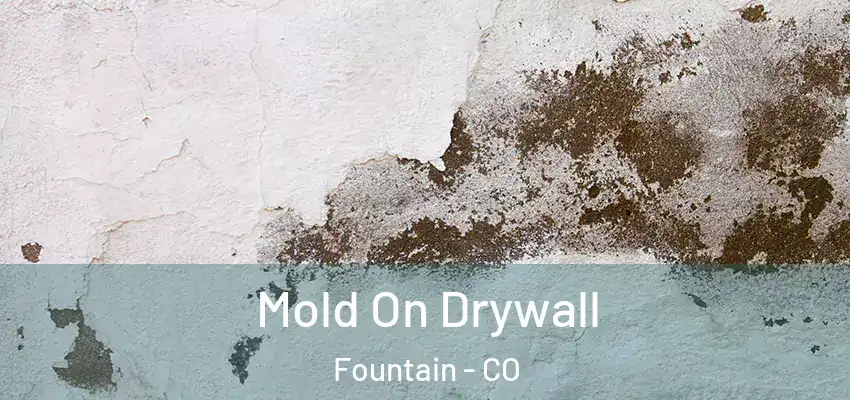 Mold On Drywall Fountain - CO