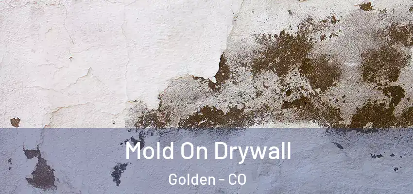 Mold On Drywall Golden - CO