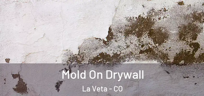 Mold On Drywall La Veta - CO