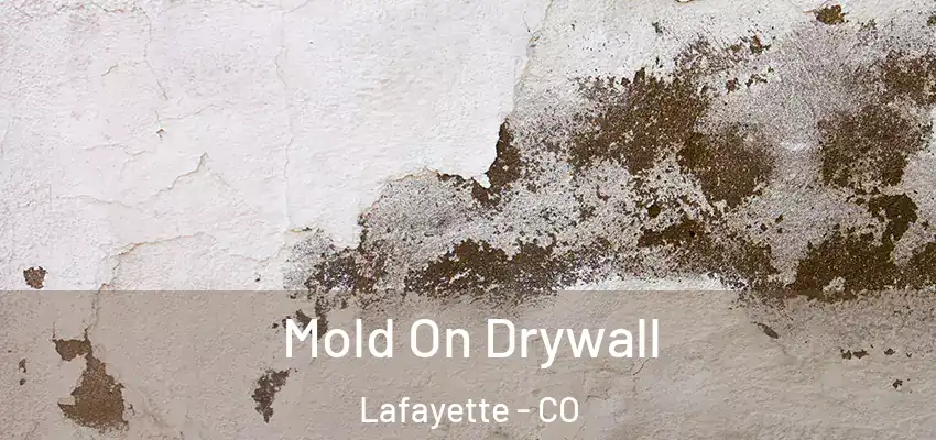  Mold On Drywall Lafayette - CO
