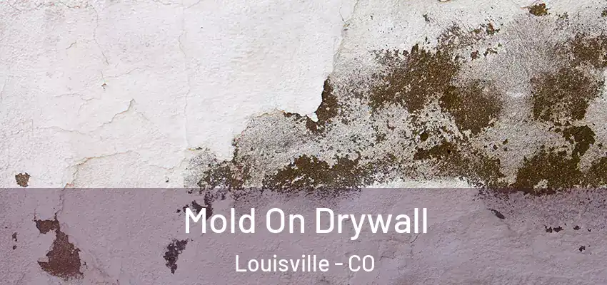 Mold On Drywall Louisville - CO