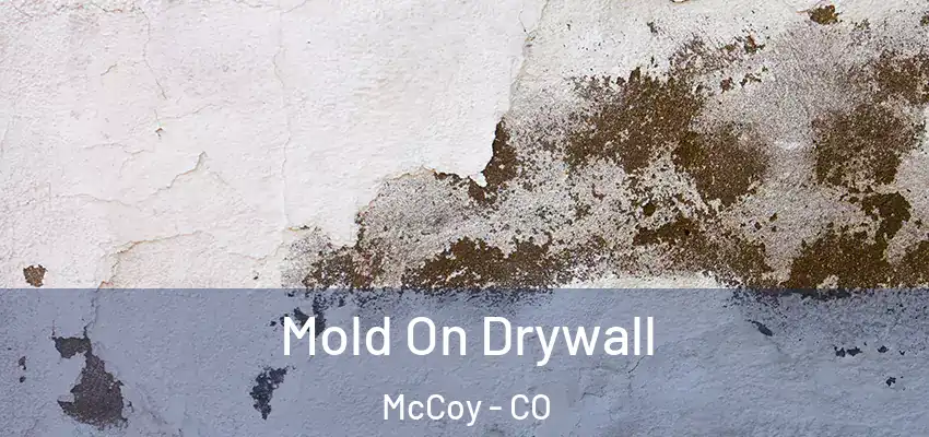  Mold On Drywall McCoy - CO