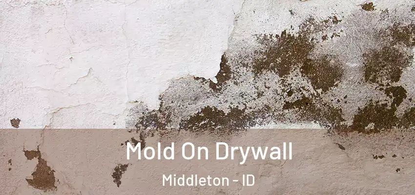  Mold On Drywall Middleton - ID