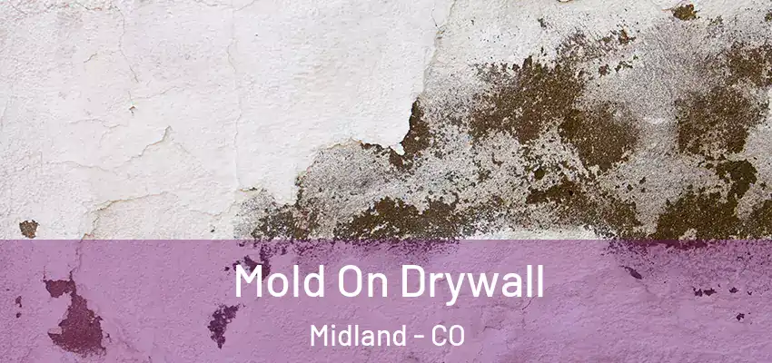  Mold On Drywall Midland - CO