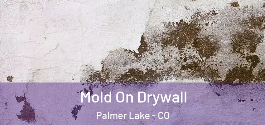  Mold On Drywall Palmer Lake - CO