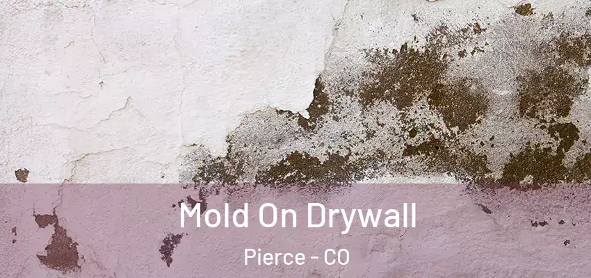 Mold On Drywall Pierce - CO