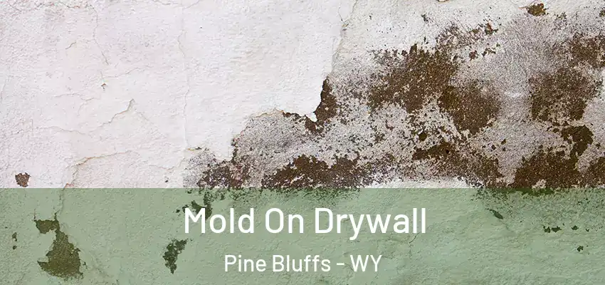  Mold On Drywall Pine Bluffs - WY