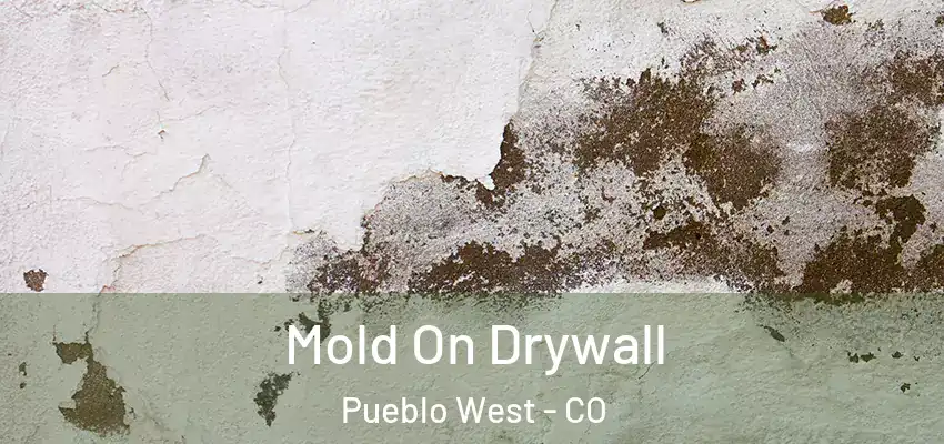  Mold On Drywall Pueblo West - CO