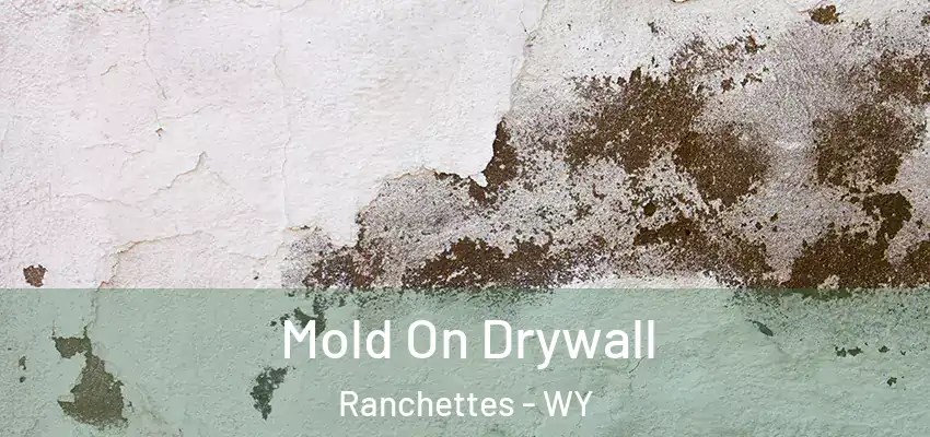 Mold On Drywall Ranchettes - WY