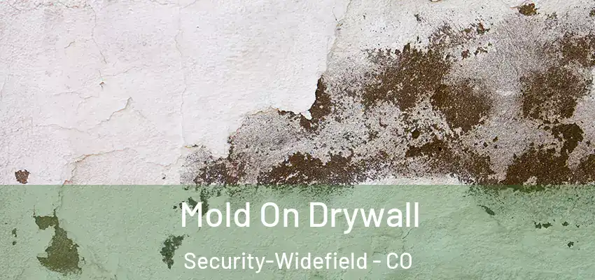  Mold On Drywall Security-Widefield - CO
