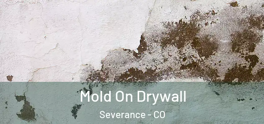 Mold On Drywall Severance - CO