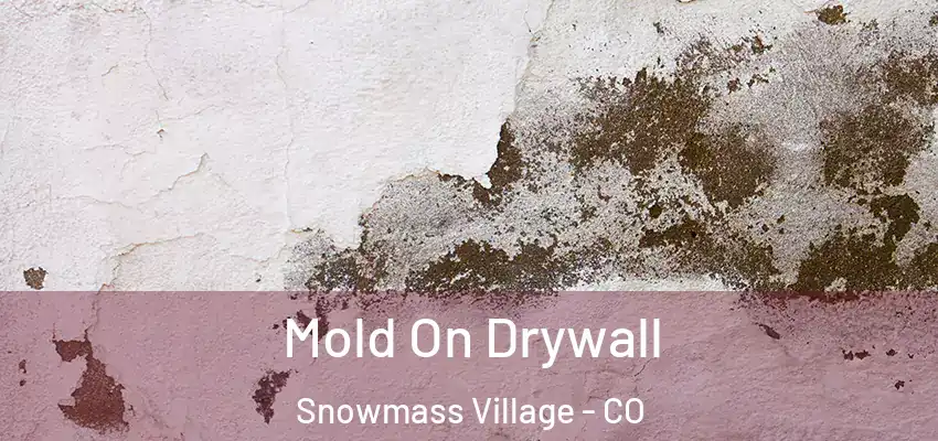  Mold On Drywall Snowmass Village - CO