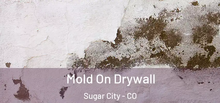  Mold On Drywall Sugar City - CO