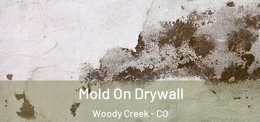  Mold On Drywall Woody Creek - CO