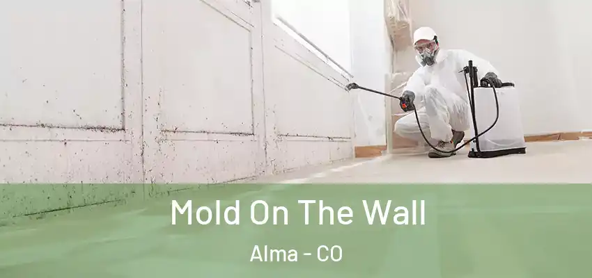  Mold On The Wall Alma - CO