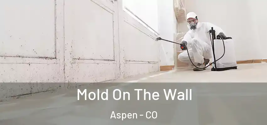  Mold On The Wall Aspen - CO