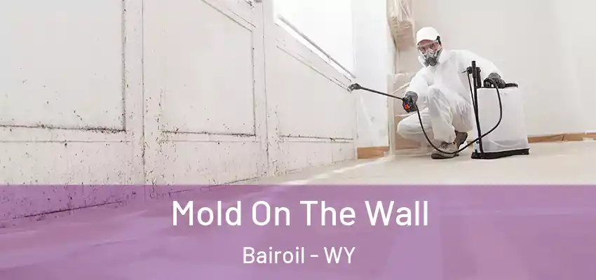  Mold On The Wall Bairoil - WY