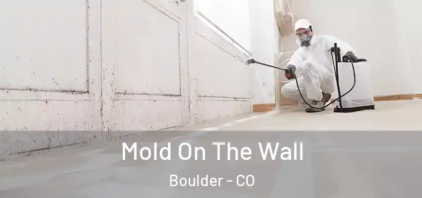  Mold On The Wall Boulder - CO
