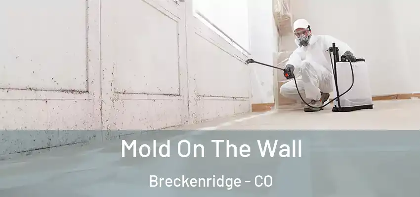  Mold On The Wall Breckenridge - CO