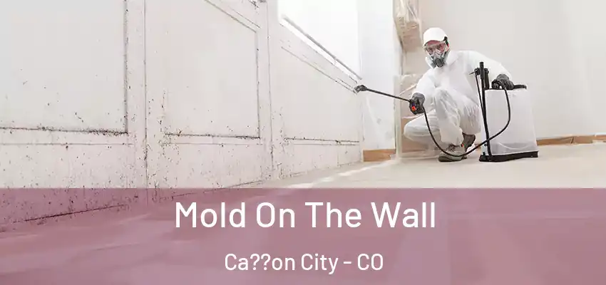  Mold On The Wall Ca??on City - CO